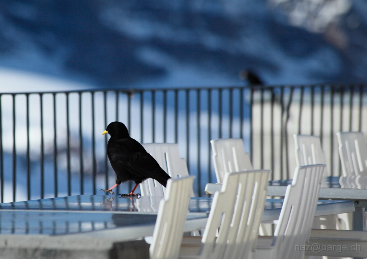 EOS 5D Mark II15_01_20120180.JPG